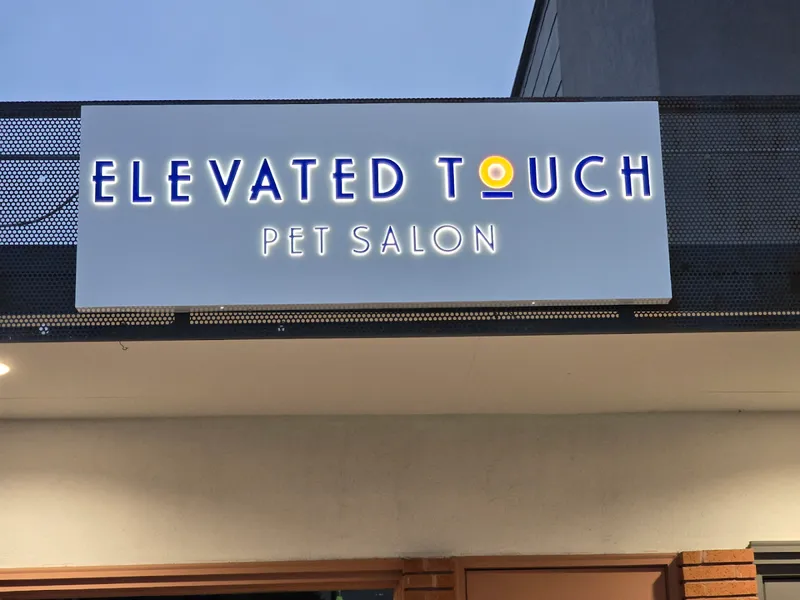 Elevated Touch Pet Salon - Mobile cat grooming in Houston, TX