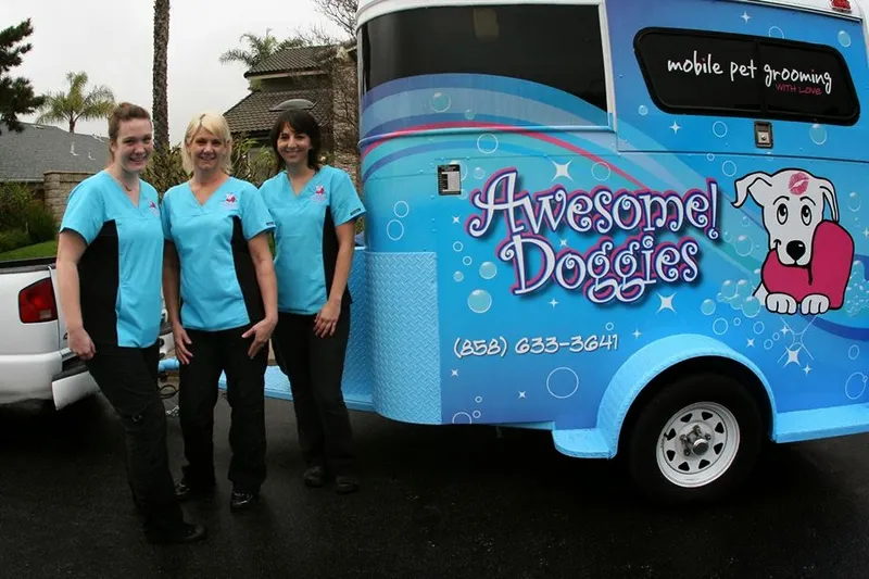 Awesome Doggies Mobile Pet Grooming - Cat grooming in San Diego