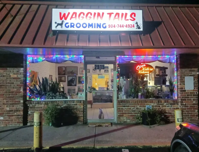 Waggin Tails - Professional cat grooming in Jacksonville, FL