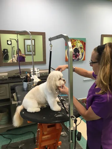 Cleopetra's Grooming - Cat grooming in Exton