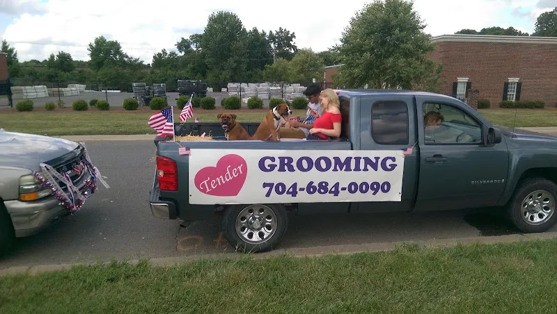 Tender Grooming - Cat grooming in Indian Trail