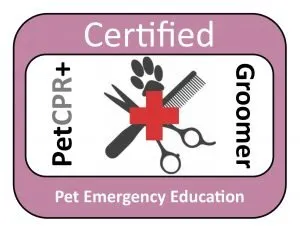 Pleasantly Pampered Grooming - Cat grooming in Bangor