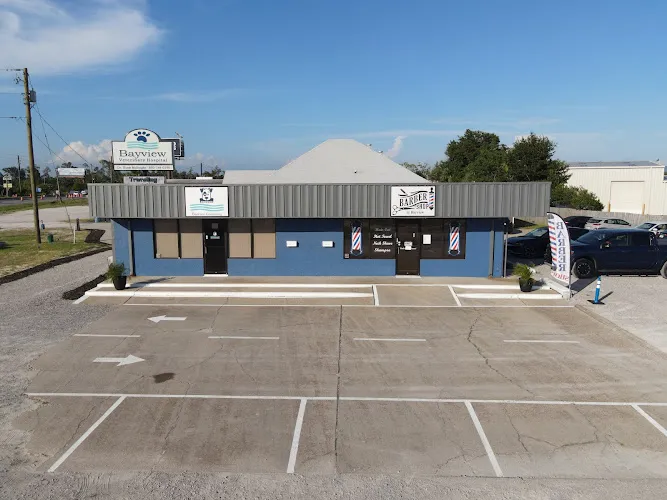 Bayview Grooming - Mobile cat grooming in Panama City, FL