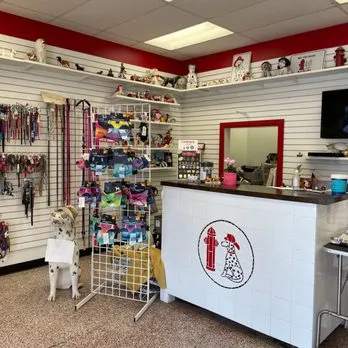 Fire Plug Grooming - Cat grooming in Dallas