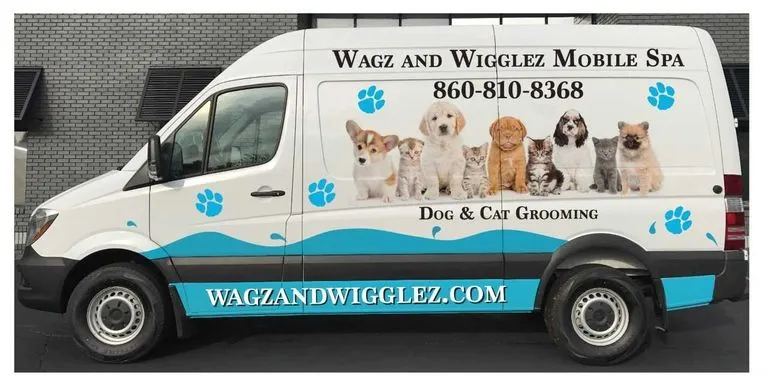 WagzandWigglez - Mobile cat grooming in Hartford, CT