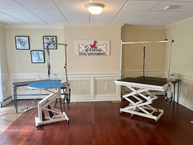 Yardley Dog Grooming - Cat grooming in Yardley