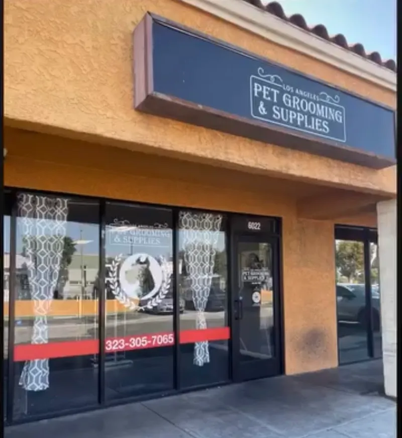 Los Angeles Pet Grooming - Cat grooming in Huntington Park