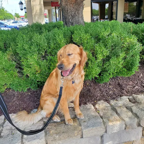 Royal Heirs Pet Spa, LLC - Cat grooming in Wichita