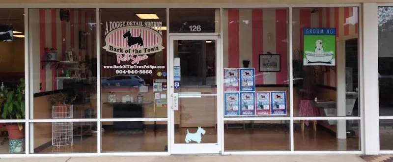 Bark of the Town Pet Spa - Cat grooming in St. Augustine