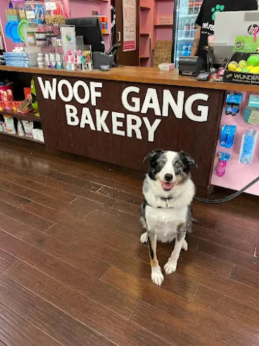 Woof Gang Bakery & Grooming Sandfly - Cat grooming in Savannah