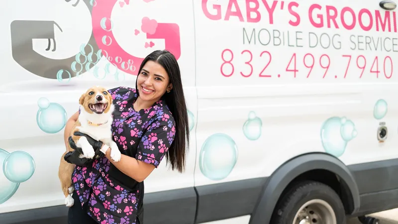 Gaby's Grooming Mobile Dog Services - Mobile cat grooming in Houston, TX