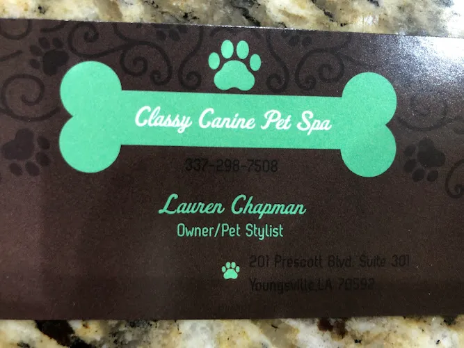 Classy Canine Pet Spa - Professional cat grooming in Youngsville, LA