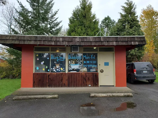 Barking Bubbles - Mobile cat grooming in Sweet Home, OR
