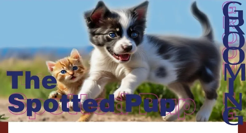 The Spotted Pup ,Pet Grooming , Dog and Cat Occasionally a Sasquatch - Cat grooming in Limestone