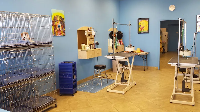 Wags My Tail Pet Grooming - Cat grooming in Tucson