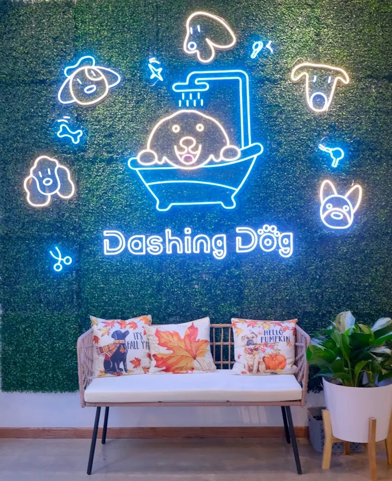 Dashing Dog - West Loop - Mobile cat grooming in Chicago, IL