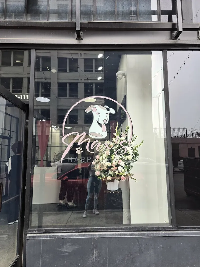 Maxs Happy Paws | Dog Grooming Downtown Los Angeles - Cat grooming in Los Angeles