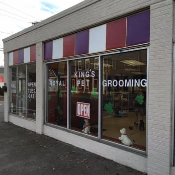 King's Royal Pet Grooming - Cat grooming in Wilmington