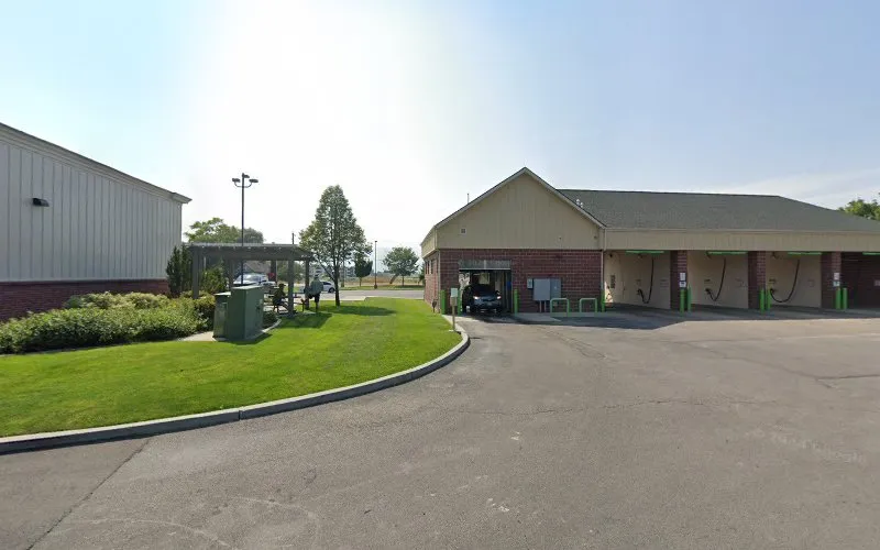 Pampered Paws Pet Wash - Nibley - Cat grooming in Nibley