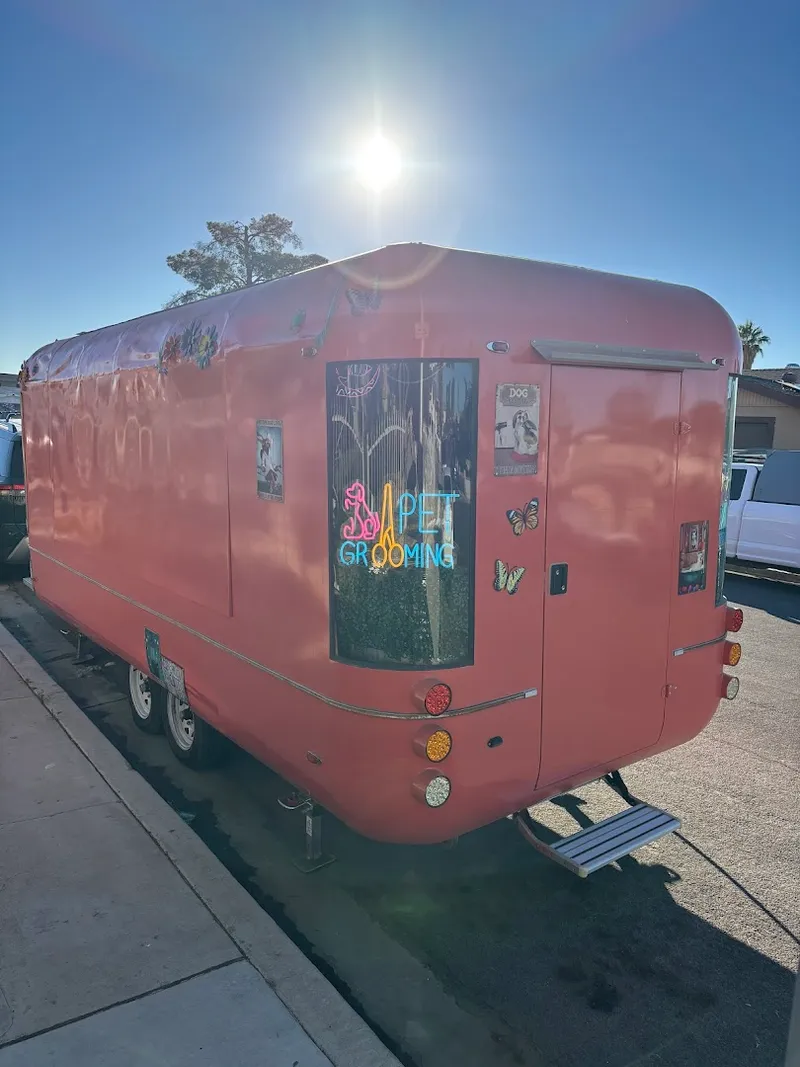 ZIZORA Mobile Pet Salon - Cat grooming in Las Vegas