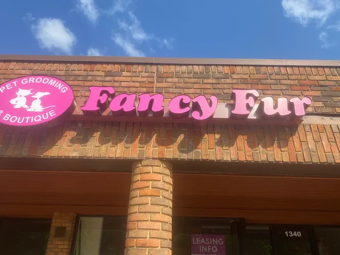 Fancy Fur Pet Grooming & Boutique - Cat grooming in Birmingham