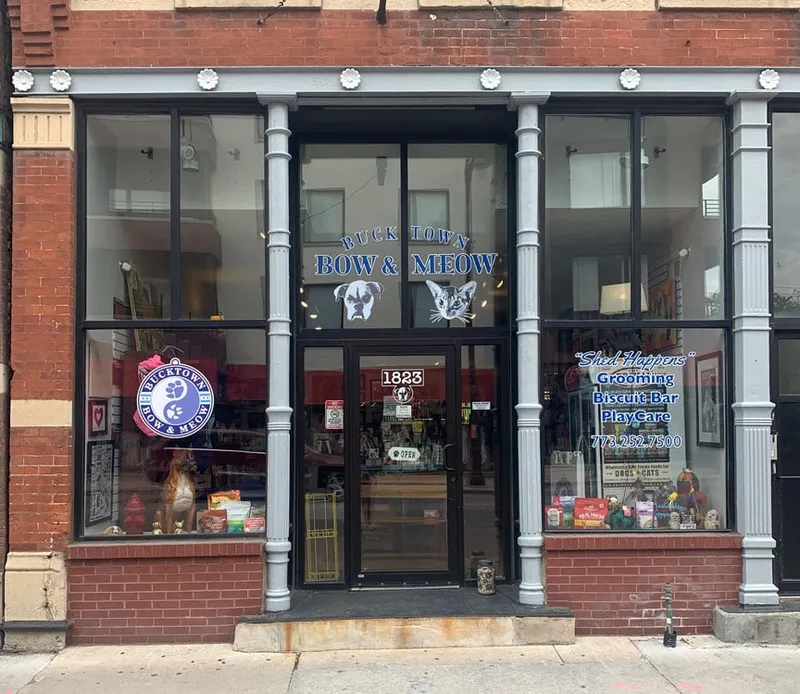 Bucktown Bow & Meow - Mobile cat grooming in Chicago, IL