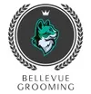 , Grooming Needs - Cat grooming in Bellevue