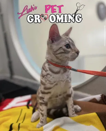 Liah's Pet Grooming Spa - Cat grooming in San Fernando