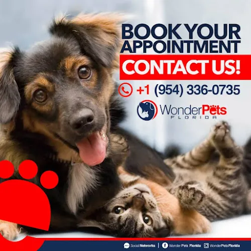 Wonder Pets Florida - Mobile cat grooming in Orlando, FL