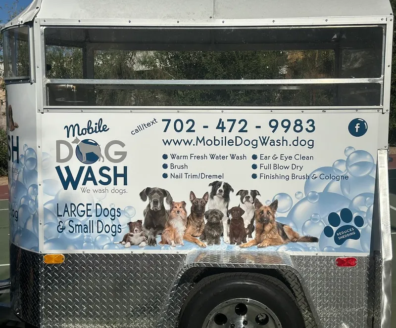 Mobile Dog Wash Las Vegas - Cat grooming in Las Vegas