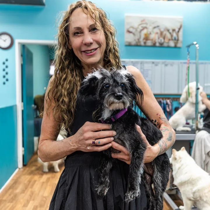 Shaggy Shaggy Shake - Cat grooming in Las Vegas