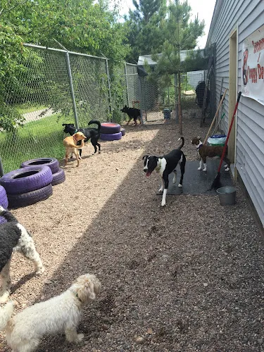 Poets Pet Parlor - Professional cat grooming in Marquette, MI
