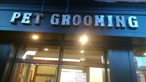 Shaggie Pets Grooming Salon - Mobile cat grooming in Brooklyn, NY