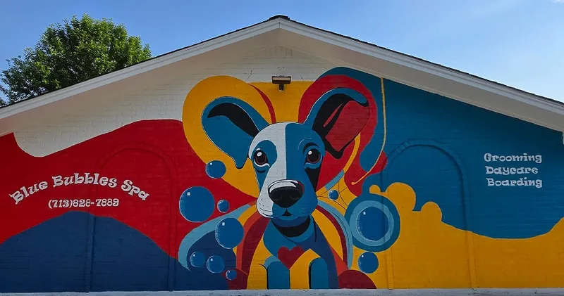 Blue Bubbles Spa - Cat grooming in Houston