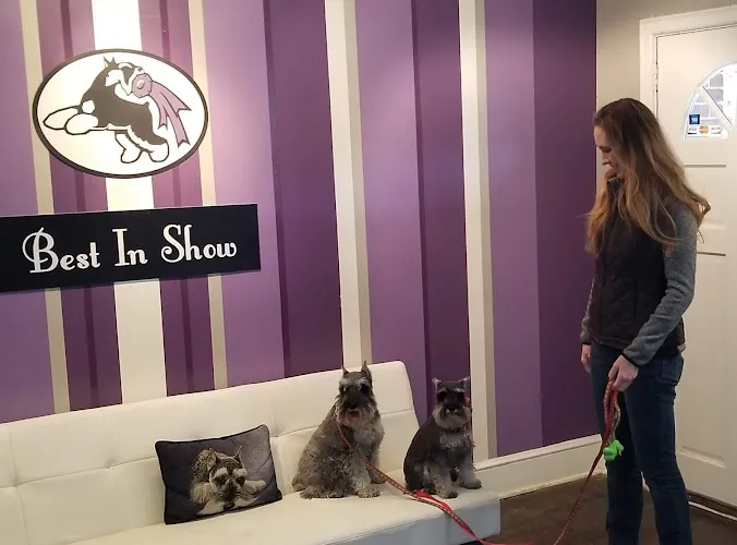 Best In Show Doggy Daycare, Groom & Board - Mobile cat grooming in Atlanta, GA