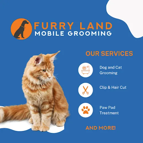 Furry Land Of Colorado Springs - Cat grooming in Colorado Springs