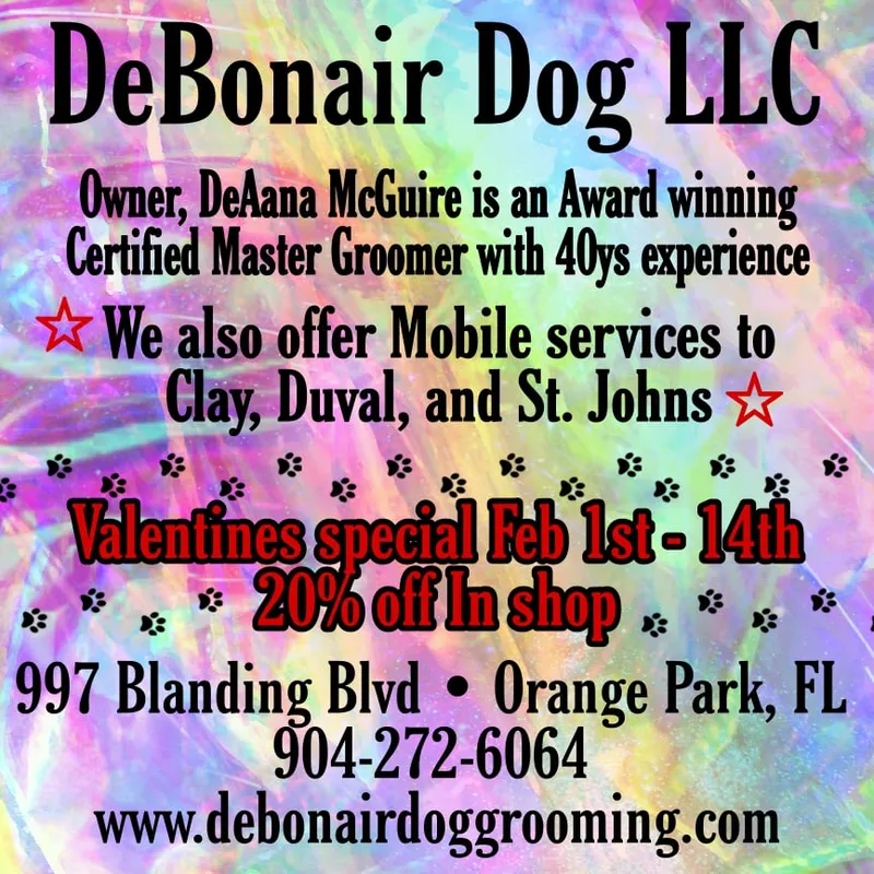 DeBonair Dog LLC - Professional cat grooming in Jacksonville, FL