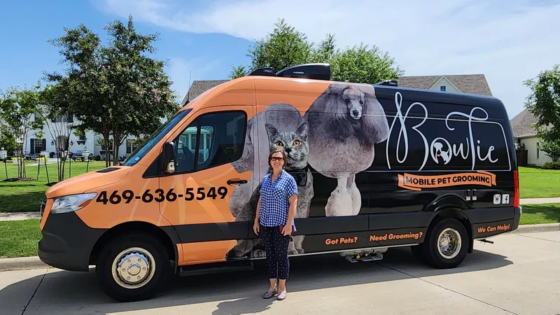 Bow Tie Mobile Pet Grooming | Frisco Plano Prosper The Colony - Cat grooming in Dallas