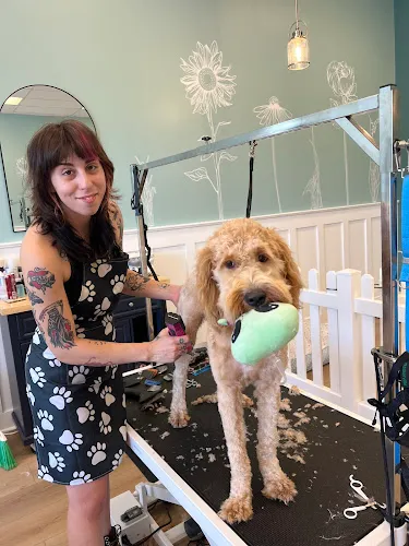 Posh Paws Pet Spa - Cat grooming in Ladera Ranch