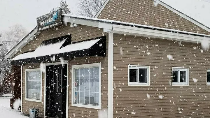 Dog-a-holick - Mobile cat grooming in Westbrook, ME
