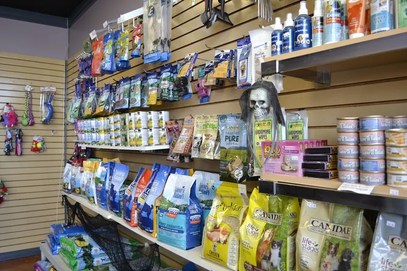 Purrrfect Paws Grooming - Cat grooming in Los Angeles