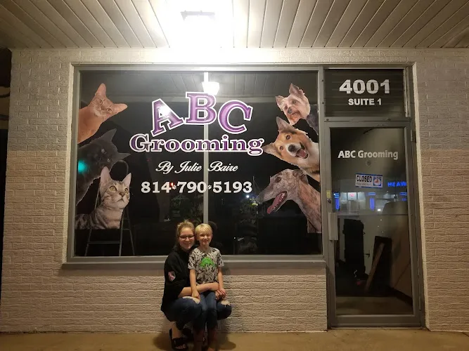 ABC Grooming by Julie Baire - Professional cat grooming in Erie, PA