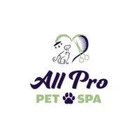 Professional Services - Cat grooming in Rapid City