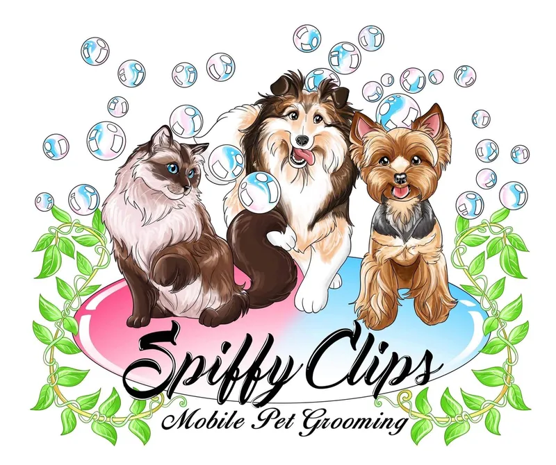 Mobile Grooming - Cat grooming in Fargo