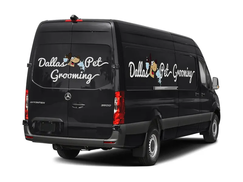 Dallas Pet Grooming - Cat grooming in Dallas