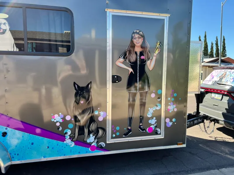 Pup N Fluff Zen - Cat grooming in Phoenix