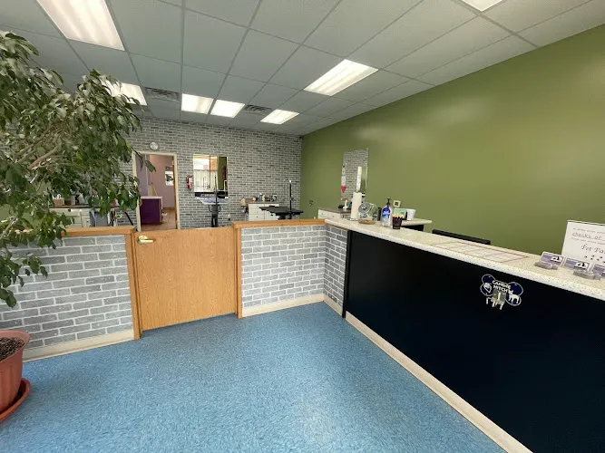 Pet Parlour LLC - Cat grooming in Mt Horeb