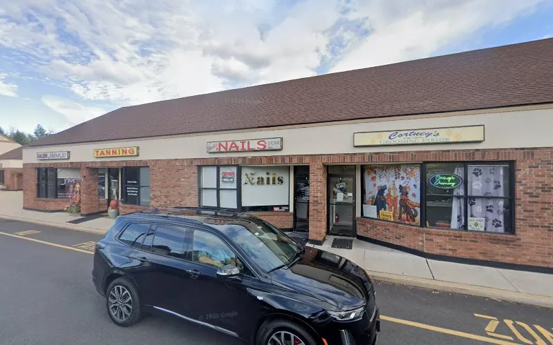Cortney's Grooming Parlor - Professional cat grooming in Hackettstown, NJ