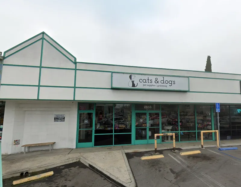 Cats & Dogs - Cat grooming in Los Angeles