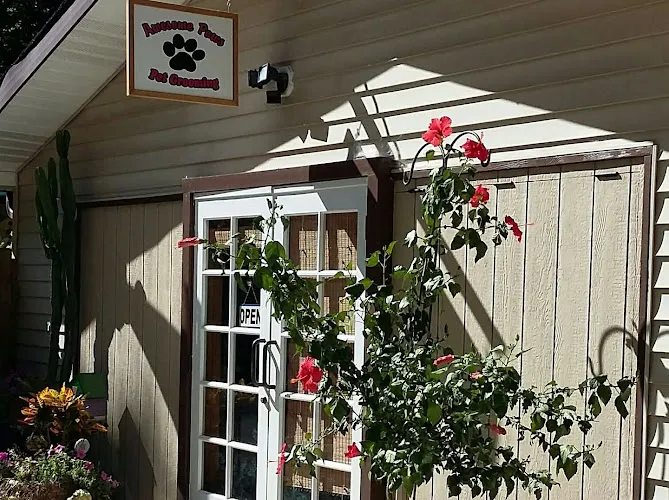 Awesome Paws Professional Pet Grooming - Cat grooming in Martinsville